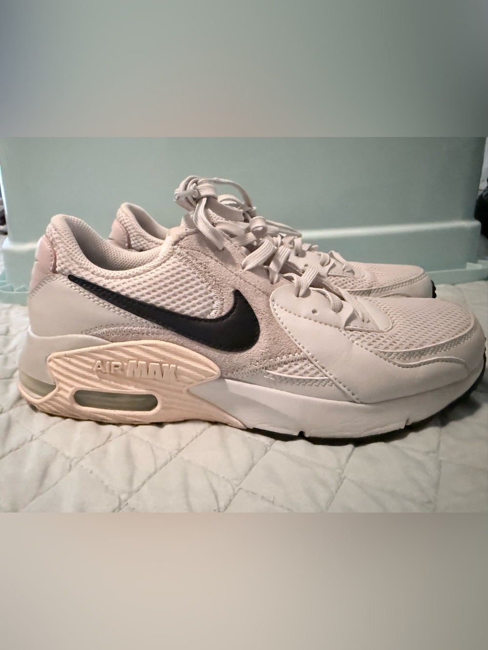 Nike Women's White Sneakers with Black Swoosh